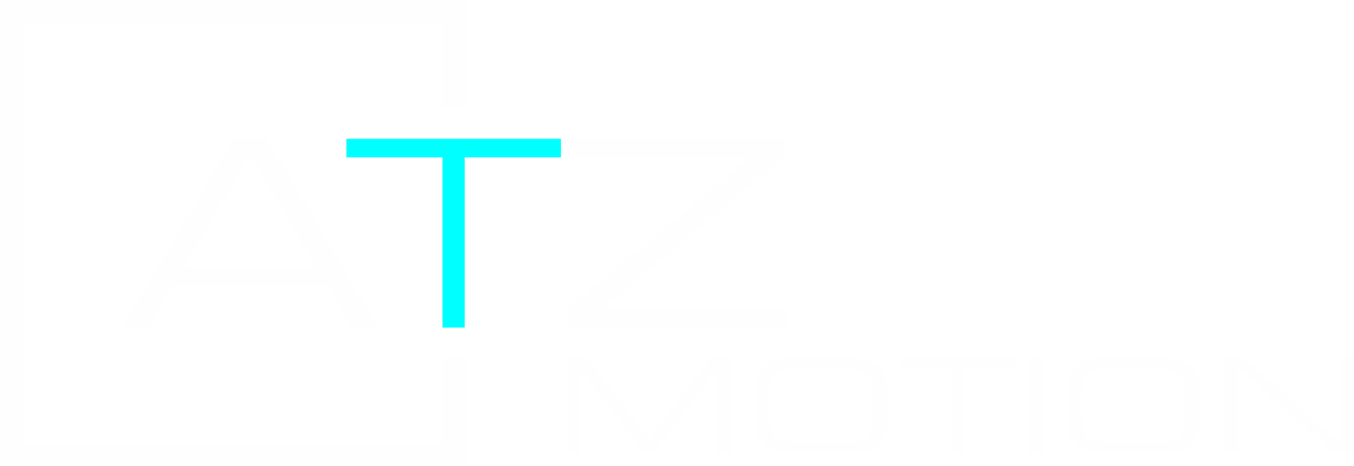 ATZ MOTION